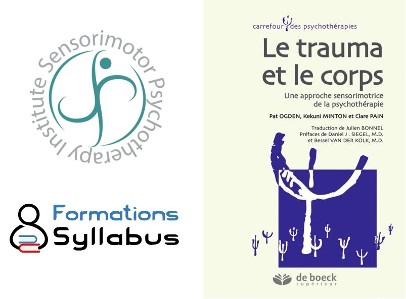 Séminaire d'introduction en Psychothérapie Sensorimotrice® (En ligne et en français !)  - Donné par Raphaël Gazon et organisé par 