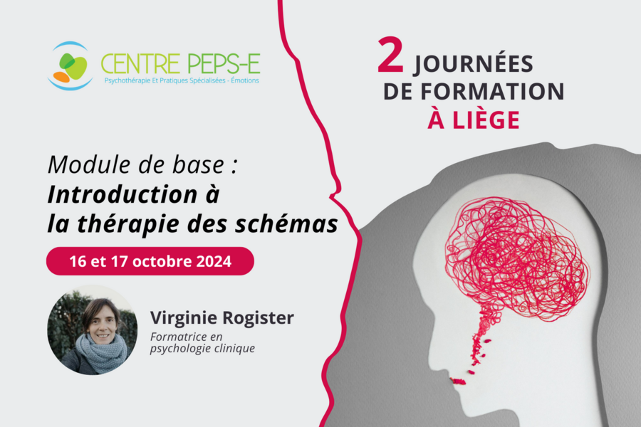 2 journées de formation (Liège) - Module de base : Introduction à la thérapie des schémas - 16 et 17 octobre 2024