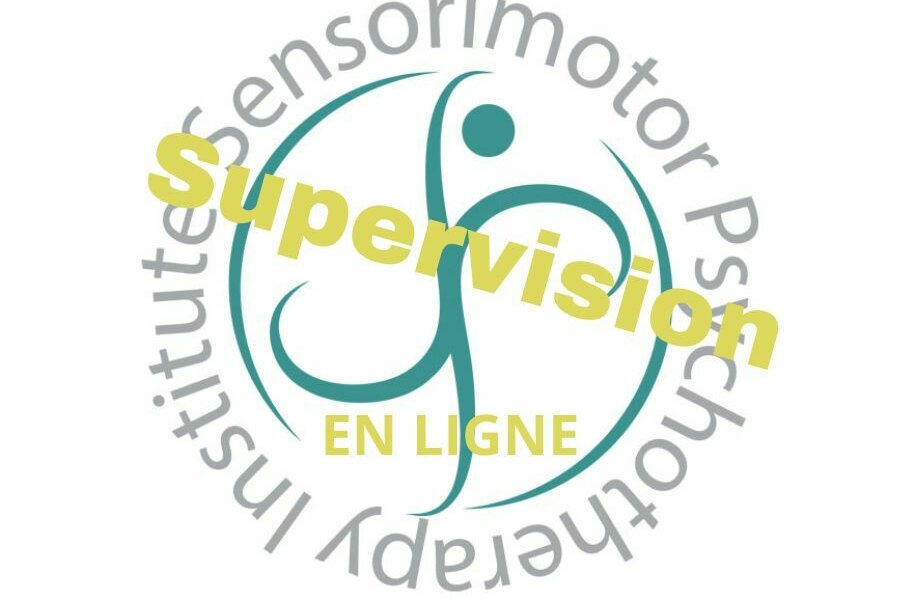 Inscrivez-vous à une journée de supervision en Psychothérapie Sensorimotrice® avec Raphaël Gazon, le 01/09/25 - En ligne