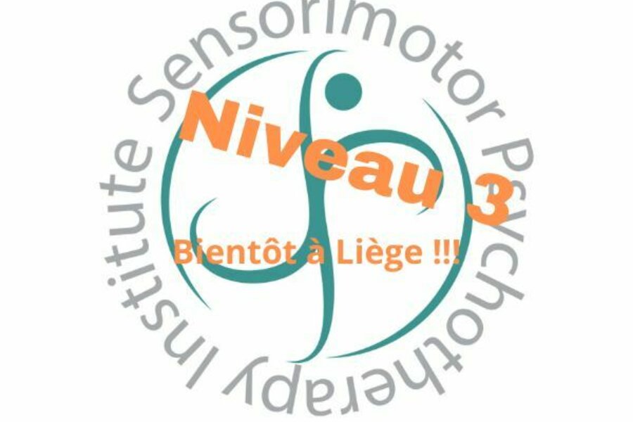 A Liège - NIVEAU 3 - FORMATION INTÉGRATIVE AVANCÉE EN PSYCHOTHÉRAPIE SENSORIMOTRICE® (en Français and English) - dès le 1er septembre 2025