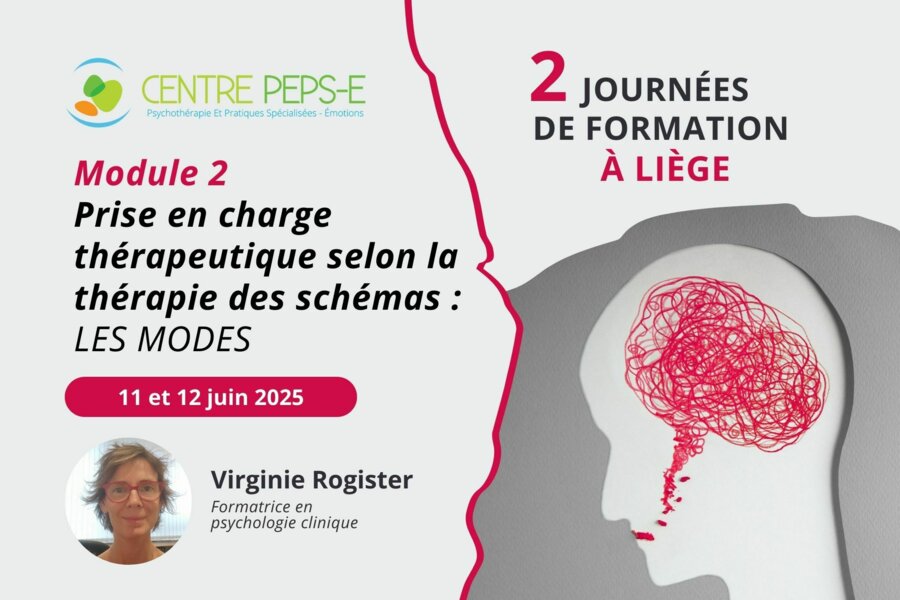 2 journées de formation (Liège) - Module 2 :  PRISE EN CHARGE THÉRAPEUTIQUE SELON LA THÉRAPIE DES SCHÉMAS : LES MODES - 11 et 12 juin 2025