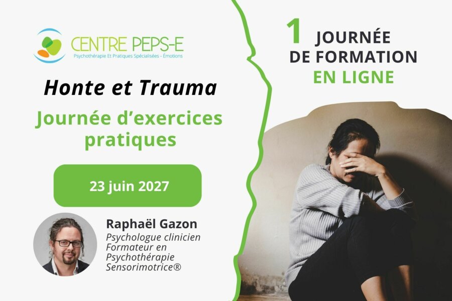 JOURNEE D'EXERCICES PRATIQUES AVEC RAPHAEL GAZON - HONTE ET TRAUMA - 23 JUIN 2027 (EN LIGNE)