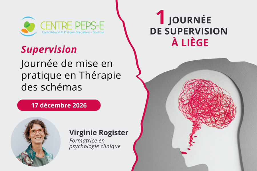 Journée de mise en pratique en Thérapie des schémas à Liège - le 17 décembre 2026