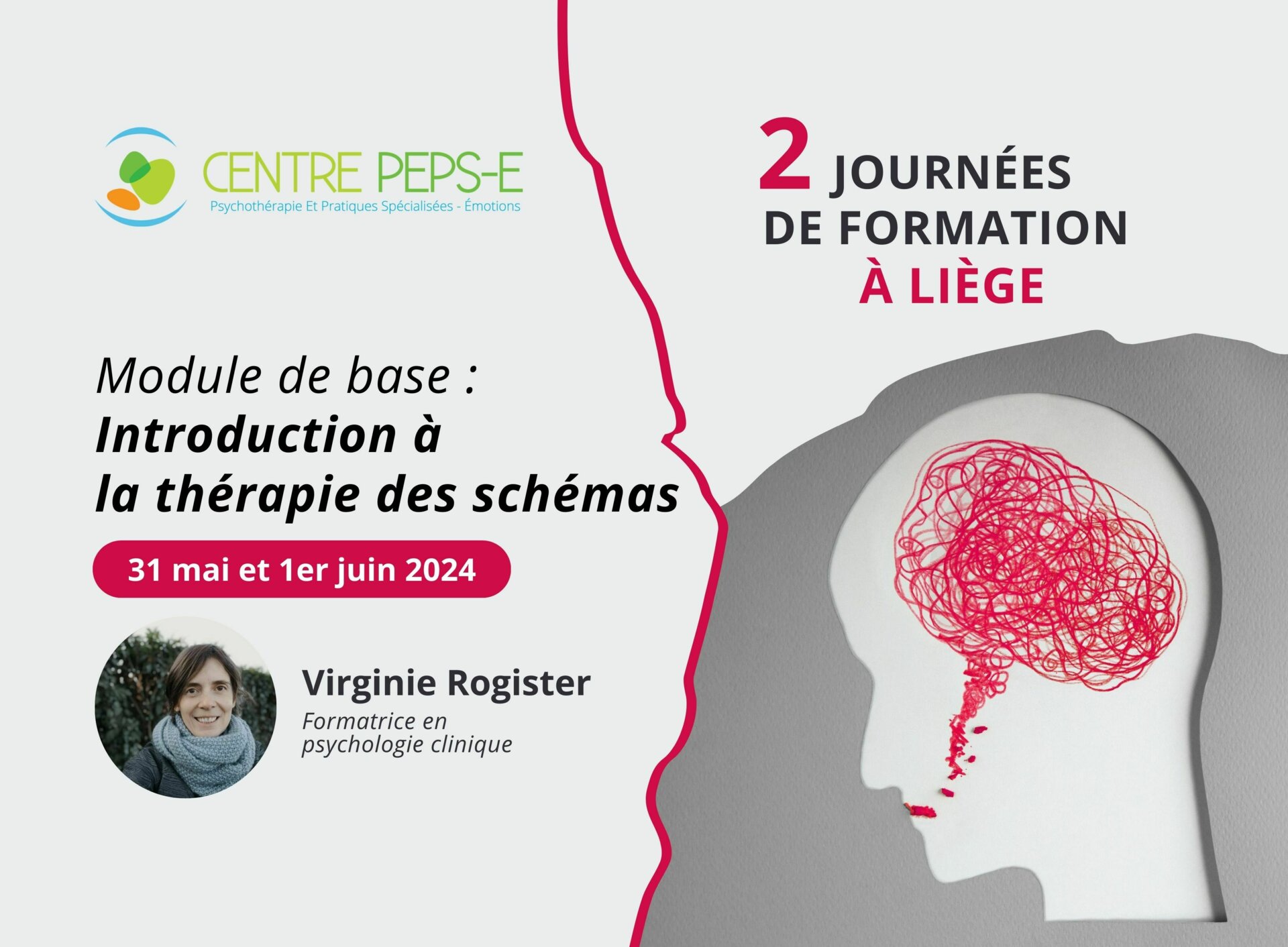 2 journées de formation (Liège) - Module de base : Introduction à la thérapie des schémas - 31 mai et 1er juin 2024