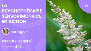 La Psychothérapie Sensorimotrice en action - webinaire pré-enregistré en français