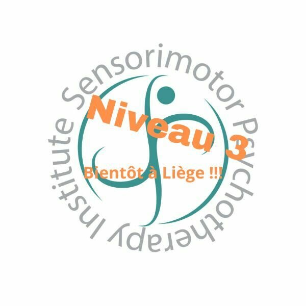 A Liège - NIVEAU 3 - FORMATION INTÉGRATIVE AVANCÉE EN PSYCHOTHÉRAPIE SENSORIMOTRICE® (en Français and English) - dès le 1er septembre 2025