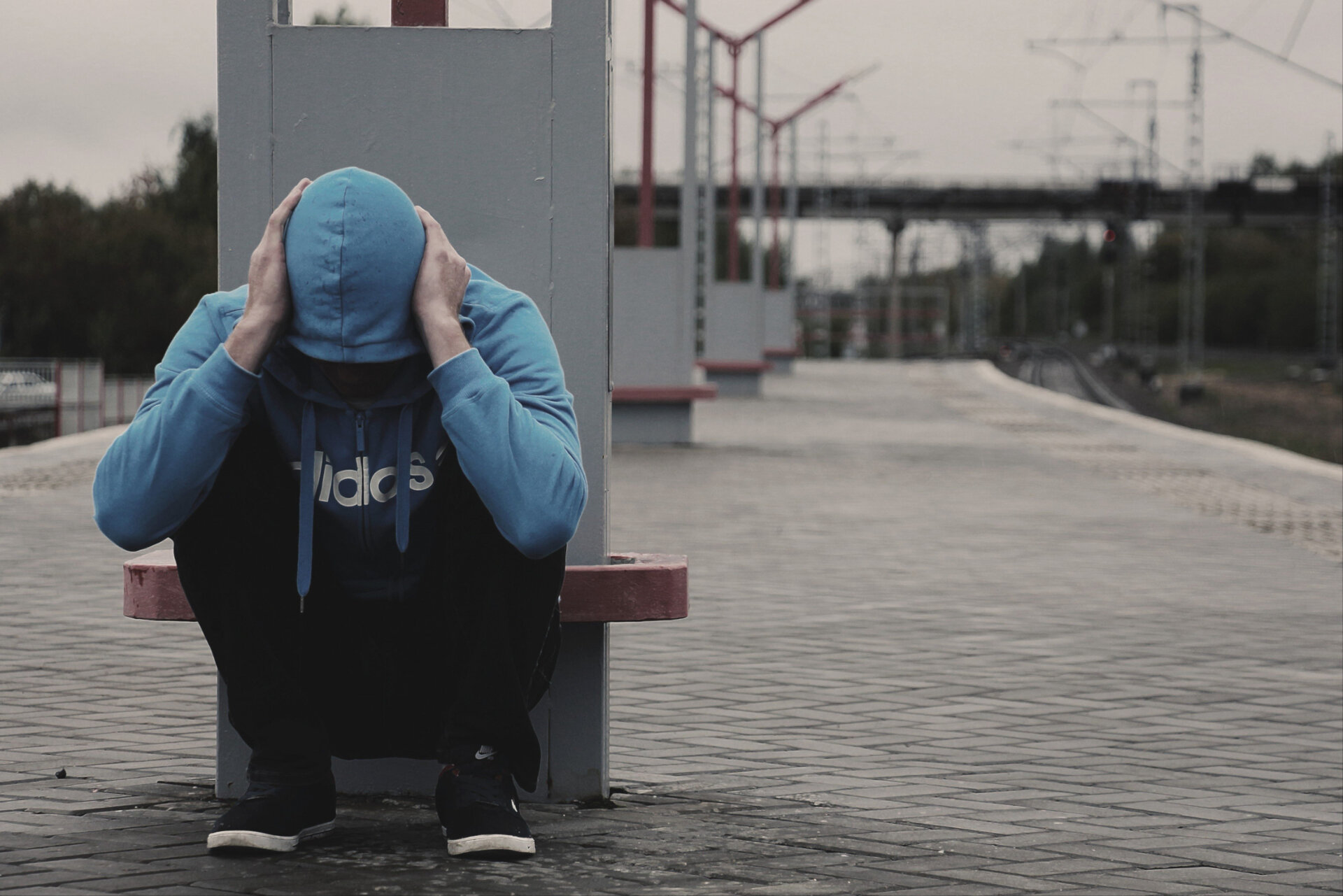 Le trauma et le corps : Introduction à la Psychothérapie Sensorimotrice