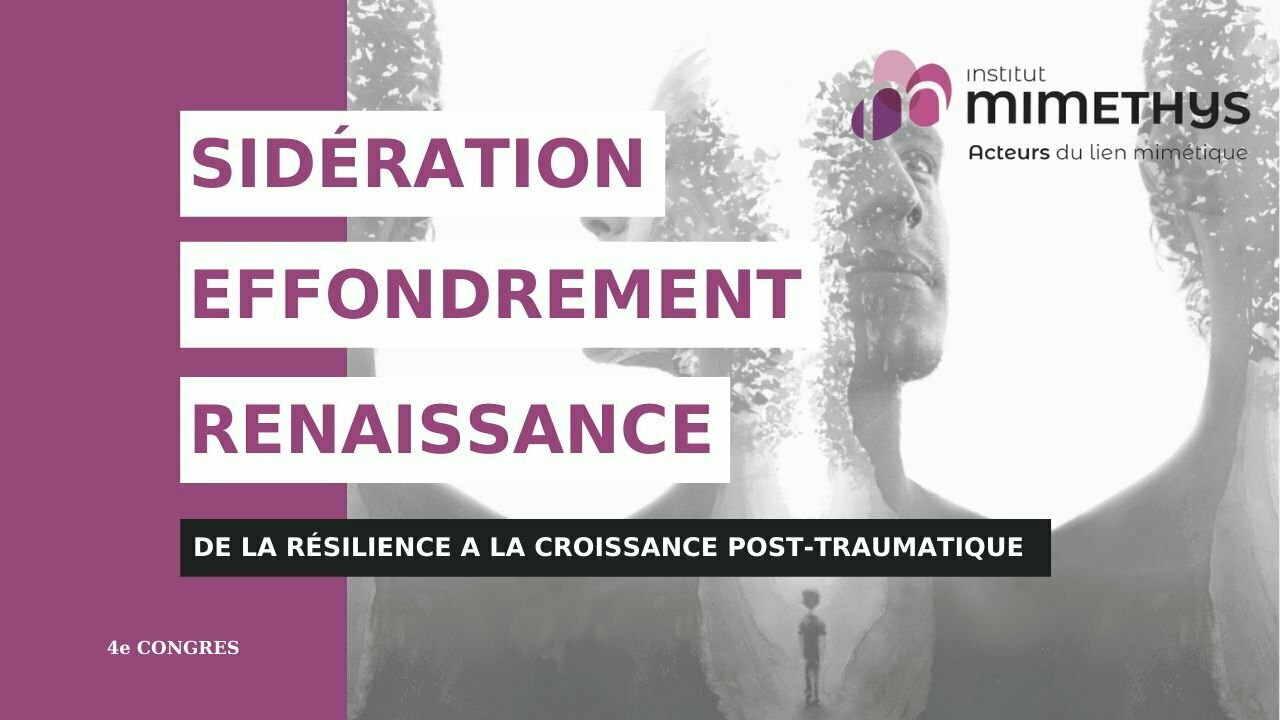 De la sidération à l’acte de triomphe : Principes et interventions de la Psychothérapie Sensorimotrice® chez les patients traumatisés : Conférence 17 juin