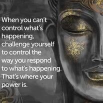 Séance d'information gratuite : Les cycles d'entrainement à la méditation de pleine conscience