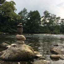 Apprivoiser les émotions par la pleine conscience : Un cycle de 8 semaines d'entrainement à la pratique