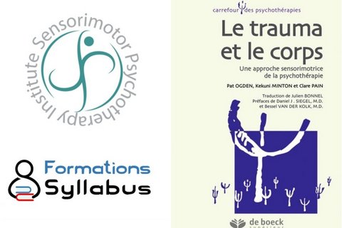 Webinaire GRATUIT d'initiation à la Psychothérapie Sensorimotrice® (En ligne et en français !)  - Donné par Raphaël Gazon et organisé par 